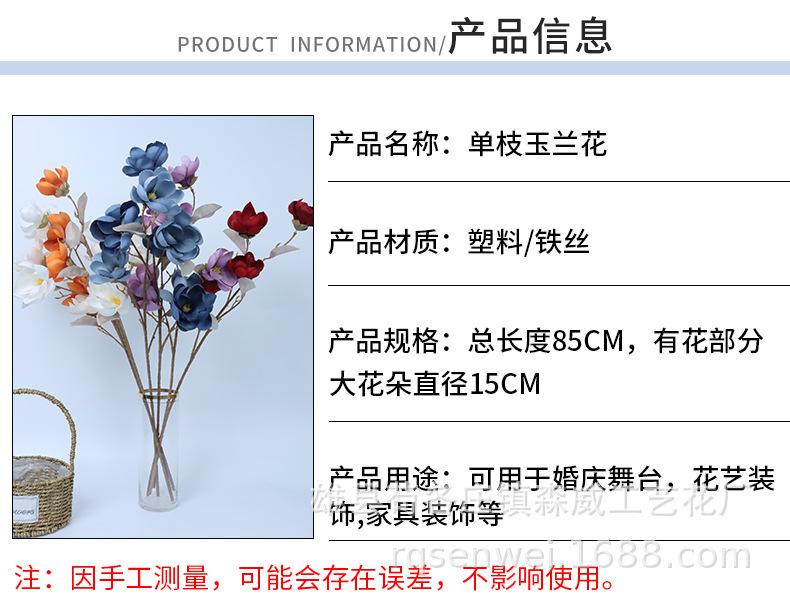 玉兰花_03.jpg