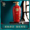 Hanfen Camélia Shampoo Suave e Fofo Extrato de Flor Aquoso Hidratante Fragrância Gel de Banho Shampoo Atacado