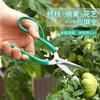 Tijeras de jardinería profesionales personalizadas tijeras de podar florales acero inoxidable tijeras de podar para jardín y fruta tijeras de podar tijeras para ramas tijeras para flores