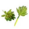 Mini Planta Suculenta Artificial Única Suculenta Falsa Flor Artificial Adorno de Micro Paisaje Oficina Planta Verde Real Artificial Alto