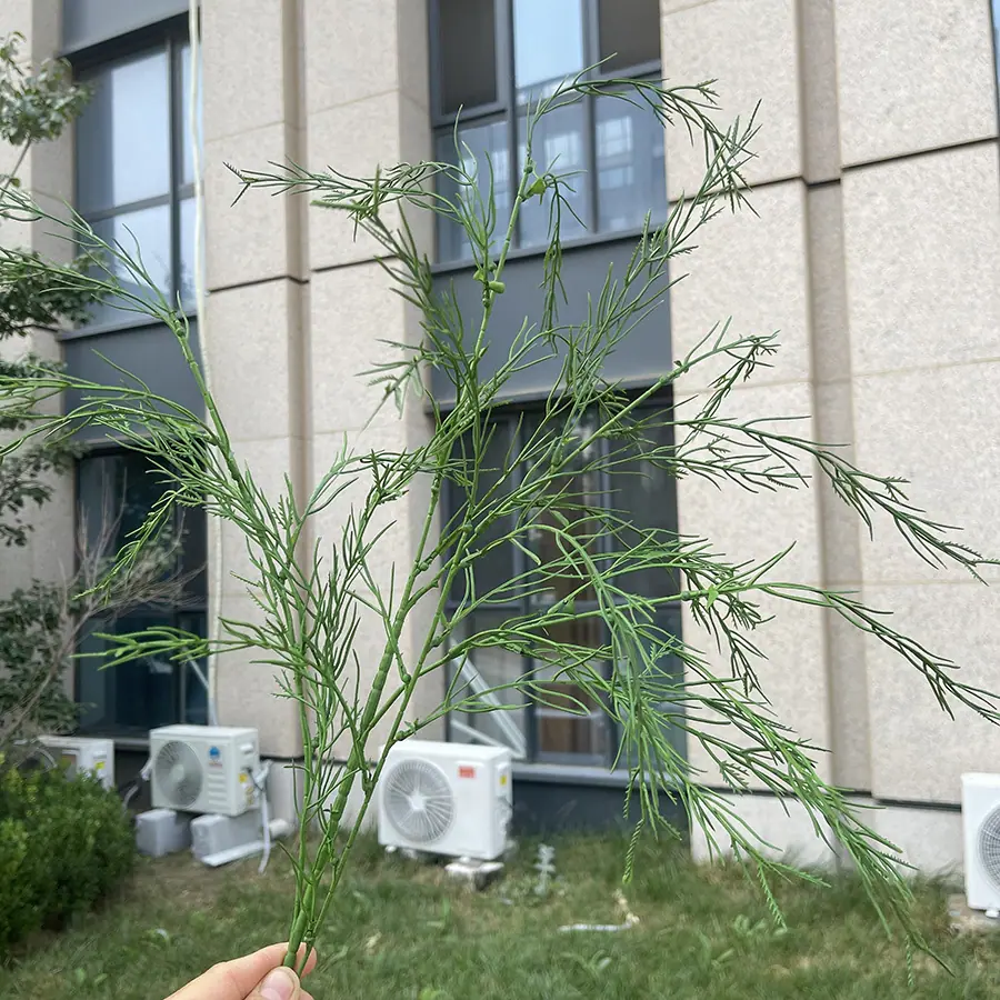 6# 34草喷色芦荀草-深绿 3元.JPG