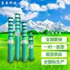 Bomba Eléctrica Sumergible Multietapa para Pozos Profundos Qj de Shandong Dongpump, Bomba de Alto Levantamiento para Riego Agrícola, Suministro del Fabricante