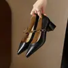 Sapatos Mary Jane femininos de bico fino e corte baixo com salto médio, salto grosso, modelo novo da primavera de 2026, salto alto com fivela de corrente, versátil