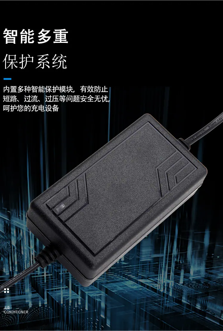 网型双线12V2A_05