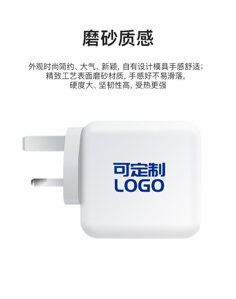 PD100W氮化镓C+A英规