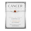 Pulsera Transfronteriza Nueva de Doce Constelaciones Combinación de Amatista y Piedra Lunar Pulsera de Cuentas Color Duradero Pulsera de Cadena Caja para Mujeres