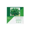 Solución Nutritiva Especial para Potos, Fertilizante Universal para Plantas de Interior en Maceta Hidropónicas y Plantas Verdes, Mayoreo