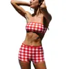 2026 Conjunto Sexy Cuadros Transfronterizo Hottie Cuadros Traje de Baño Tipo Tubo Bikini de Dos Piezas Traje de Baño para Vacaciones en la Costa