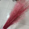 Flores Preservadas, Hierba Rosa, Flores Secas, Hierba Mosquitera, Cola de Zorro, Materiales Florales DIY, Arreglos de Boda, Decoración del Hogar, Venta al por Mayor de Fábrica