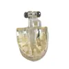Comércio Exterior Modelo Odontológico Modelo de Ensino Modelo de Patologia Infantil M4002 Exibição Modelo de Dente Decíduo Dental Dentes Decíduos Permanentes