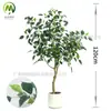 Planta Verde Artificial de Alta Qualidade em Vaso Árvore Ficus para Uso em Sala de Estar Interna, Árvore Artificial Grande Bonsai para Exibição em Janela Paisagismo