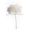 [Niebla Natural Hortensia] Flor Eterna Flor Seca Hortensia Anna Hortensia Lobular Material para Boda DIY Venta al por Mayor
