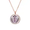 Collar Difusor de Aromaterapia para Mujer, Colgante Hueco en Oro Rosa, Puede Contener Aceites Esenciales, Apertura y Cierre Magnéticos, Venta al por Mayor de Joyería