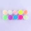 Polvo Luminoso para Uñas 10 Colores/Set Esmalte de Uñas Fósforo