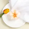 2024 Transfronterizo Europa y Estados Unidos Color Degradado 8cm Flor de Huevo Pinza de Agarre Femenina Verano Flor Pasador de Pelo Pinza de Tiburón para el Cabello Adorno para la Cabeza