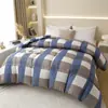 Atacado do Fabricante Colcha Grossa Quente de Inverno para Dormitório de Estudante Solteiro, Núcleo de Colcha Dupla, Roupa de Cama, Colcha de Penas e Seda para Quatro Estações