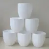Suministro de Fábrica Maceta de Plástico de Color Simple para Plántulas Verde Plantación Suministros de Jardinería Plantación Maceta de Plástico para Plántulas Maceta