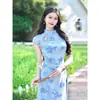 Vestido de Malha Vazada Estampada com Forro Estilo Chinês Novo e Delicado para Mulheres, Vestido Longo H-Shaped de Verão com Cintura Marcada e Caimento Slim