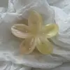 Presilha de Cabelo Flor de Plumeria Colorida em Gel com Padrão de Fluxo Gradiente, Presilha Jacaré Flor de Cinco Pétalas Estilo Férias, Penteado Fresco para a Parte de Trás da Cabeça Feminina