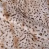 Nuevo en stock: Tela de felpa con estampado de visón y leopardo de nieve Xiaomi, terciopelo de visón con estampado de leopardo para ropa, textiles del hogar y juguetes