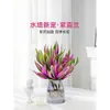 Planta Hidropônica Roxo Orvalho Clorófita Pequeno Vasado Pintura a Óleo Casamento Flor de Interior Escritório Planta Verde Quatro Estações Boa Alimentação