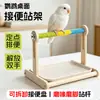 Soporte de percha de escritorio para loros para defecación en punto fijo, percha especializada para agapornis y cacatúas, soporte de entrenamiento de pájaros de escritorio
