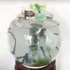 Acuario Esférico Redondo Espeso Extra Grande Acuario Redondo Transparente de Vidrio Ecológico Tanque de Vidrio de Escritorio Sala de Estar Mai Taibao