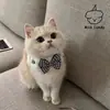 Bufanda para Gato, Pajarita, Collar para Mascota, Babero, Toalla para Saliva, Bufanda Tejida, Bufanda, Perro Lindo para Foto