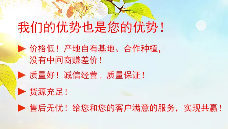 我们的优势-更新.jpg