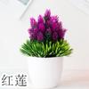 Plantas Simuladas Plantas Verdes en Maceta Decoración para el Hogar Adornos Pequeños Agujas de Pino Piña Pequeña Flor Simulada de Escritorio Bonsái