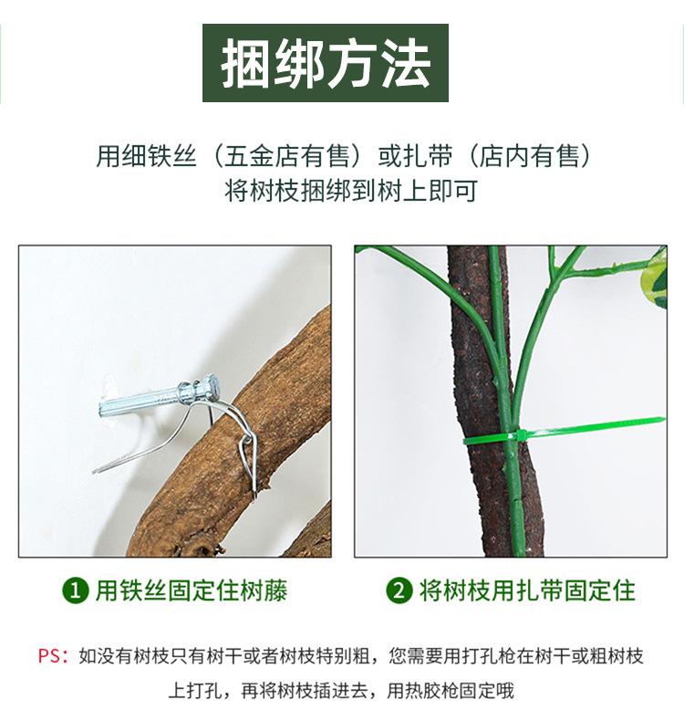 树叶详情_07.jpg