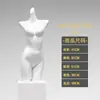 Loja de Lingerie Modelo Roupas Femininas Adereços Loja de Roupas Sutiã Push-Up Meio Comprimento Roupas Íntimas Femininas Modelo Suporte de Exibição de Corpo Humano Falso Meio Comprimento