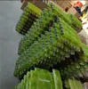 Bloque de Goma para Oruga de Excavadora Gancho Máquina Bloque de Goma Bloque de Goma para Oruga de Excavadora Tendón Resistente al Desgaste y a la Presión Accesorios de Oruga de Acero