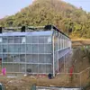 Invernaderos de cristal para cultivo de frutas y verduras, invernaderos multiespacio para vid, diseño y construcción de instalaciones agrícolas