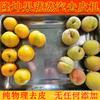 Línea de procesamiento de durazno amarillo enlatado pelador multifunción de durazno y manzana equipo automático de procesamiento de verduras prefabricadas