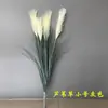 Hierba de junco hierba de cola de perro hierba acuática flor seca flor artificial flor de junco rosa decoración de suelo ventana de sala de estar dormitorio