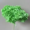 Ramo de Hortensias Anna Eternas Flor Eterna de Yunnan Hortensia de Hoja Pequeña Multicolor Adornos Decorativos DIY