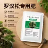 Fertilizante especial para enebro chino, con una composición equilibrada de nutrientes para promover el crecimiento, prevenir el marchitamiento de las hojas y mejorar la resistencia a las enfermedades; una opción principal para el cuidado de bonsáis