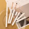 Varilla metálica de doble punta pintada línea de tracción viñeteado pluma de fototerapia con tapa pincel para decoración de uñas herramienta de venta caliente transfronteriza 5 trajes