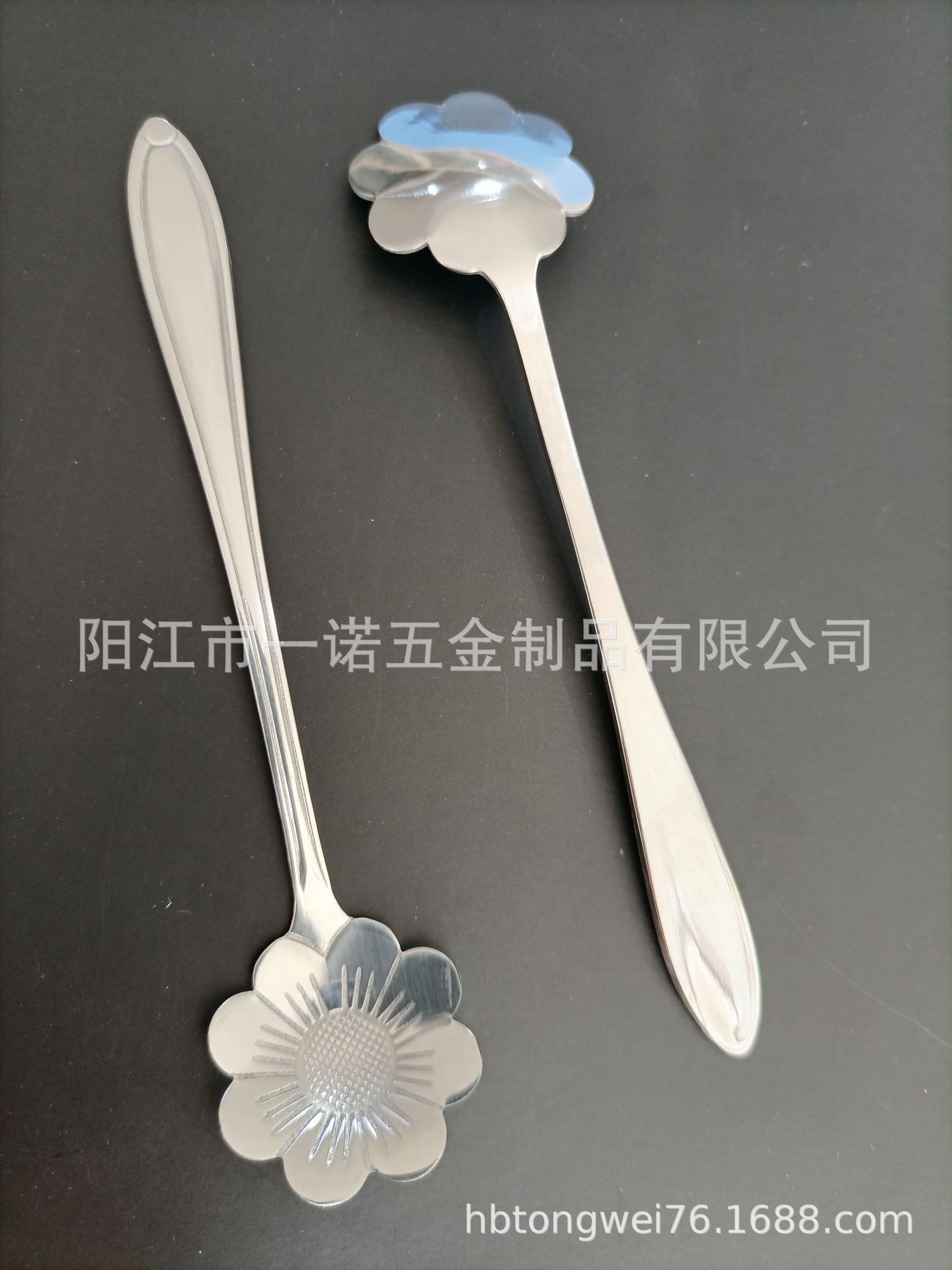婴儿勺20200815C波斯菊.jpg
