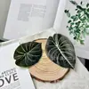 Hojas de Calathea Simuladas, Hojas de Planta Verdes Simuladas, Accesorios de Hojas Simuladas, Plantas Verdes Simuladas, Hojas Falsas, Flores Falsas