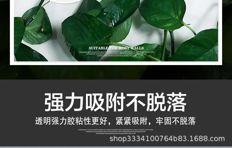 绿萝固定器1_06.jpg