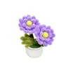 Producto Terminado Más Vendido Transfronterizo: Linda Planta en Maceta de Flor de Cerezo y Crisantemo, Regalo para el Día del Maestro, Regalo para el Día de la Madre, Regalo de Decoración para el Hogar