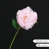 Flor Artificial de Peonía de Alta Gama de una Sola Cabeza Estilo Chino Decoración de Sala de Estar Centro de Mesa de Flores Ramo de Flores Falsas de Peonía