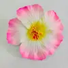 Flor de frangipani artificial flor flor havaiana acessórios para cocar flor seca grampo de cabelo