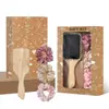 Conjunto de Presente Pente de Massagem com Almofada de Ar Personalizado, Pente de Presente para Mão, Pente com Topo de Caveira Fofo, Pente Oco Pente com Almofada de Ar