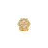 Ortodoncia Estéreo Copo de Nieve Full Diamante Amazon Temu Moda Femenina Adornos Dentales Ortodoncia de Zirconia Accesorios Hip-Hop Elegantes y de Moda