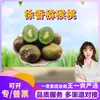 Selección Premium Kiwi de Shaanxi Xuxiang, 10/15 piezas, pulpa verde, agridulce, fruta fresca de temporada