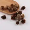 Enfeites Acessórios para Festival de Natal Vários Tipos Folhas de Pinheiro Pinhas Guirlandas DIY Bolotas Cerejas Cogumelos Pequenos Atacado
