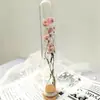 Decoraciones Rama Única Embalaje de Cartón Lujo Ligero Nórdico Tubo de Ensayo de Flor Seca Interior Hecho a Mano Adornos Decoraciones Regalo